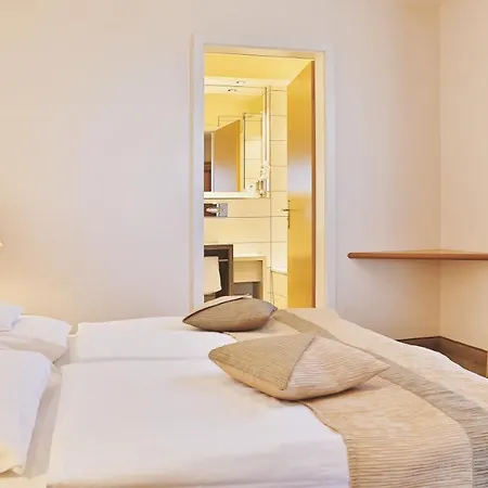 Nationalpark-hotel Schliffkopf 4*