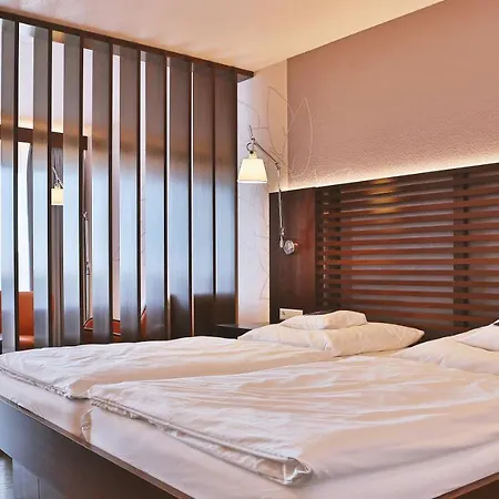 Wellness-& Nationapark Schliffkopf, Bwsc 4*