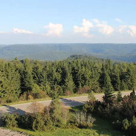 Отель Wellness-& Nationalpark Schliffkopf, Bwsc