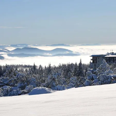 Отель Wellness-& Nationalpark Schliffkopf, Bwsc Байрсброн