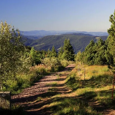 Wellness-& Nationapark Schliffkopf, Bwsc Baiersbronn