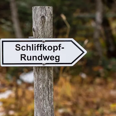 Wellness-& Nationalpark Schliffkopf, Bwsc 4* Байрсброн