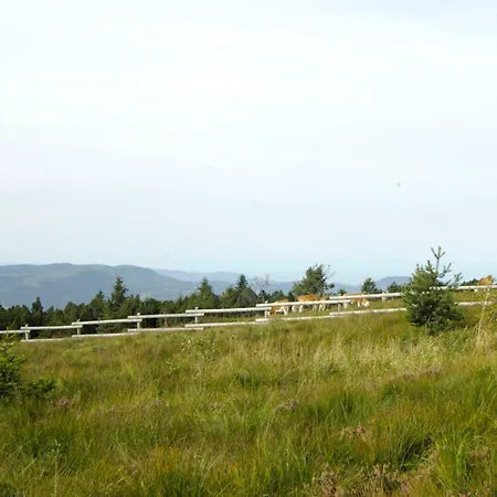 Nationalpark-hotel Schliffkopf Hotel