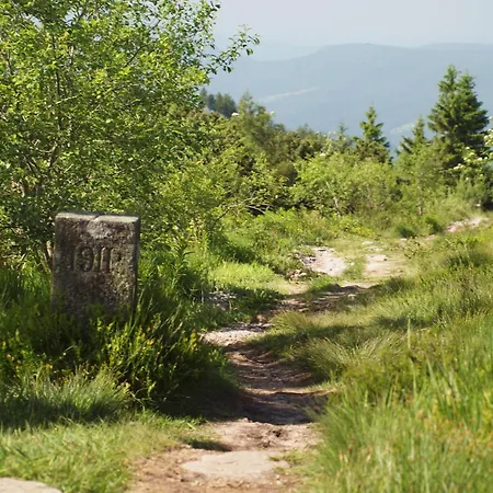 Nationalpark-hotel Schliffkopf 4*