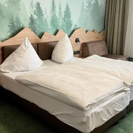 Nationalpark-hotel Schliffkopf 4*