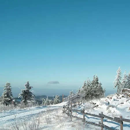 Nationalpark-hotel Schliffkopf 4*