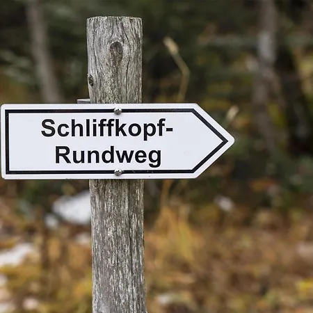 Nationalpark-hotel Schliffkopf Hotel 4*